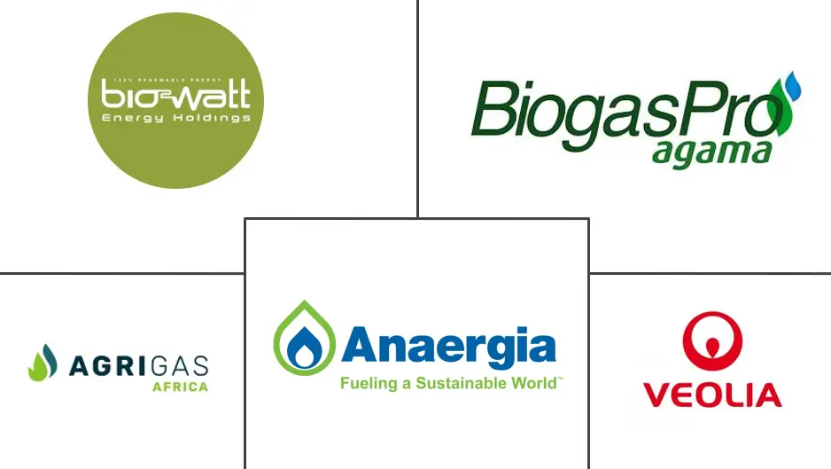 Major players in South Africa Renewable Gas From Waste industry