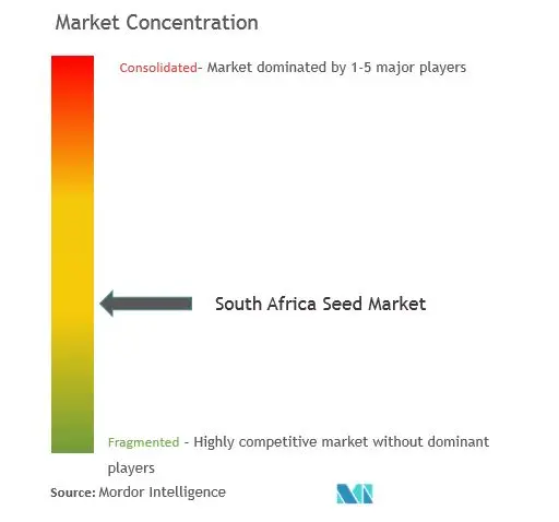 Концентрация рынка ЮАР.JPG