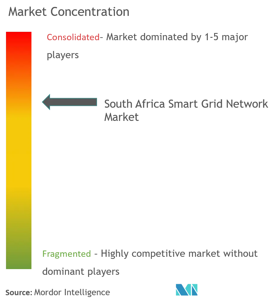 Market Concentration- South Africa Smart Grid Network Market.png