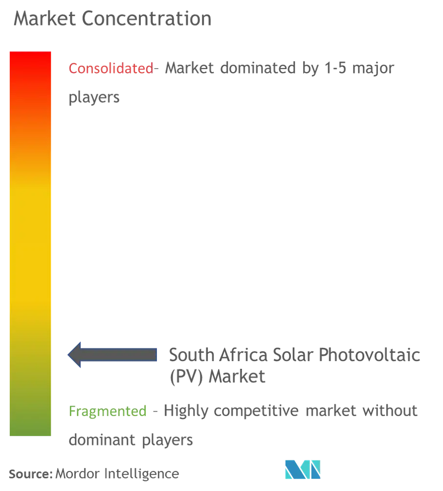 South Africa Solar Photovoltaic (PV) Market Concentration