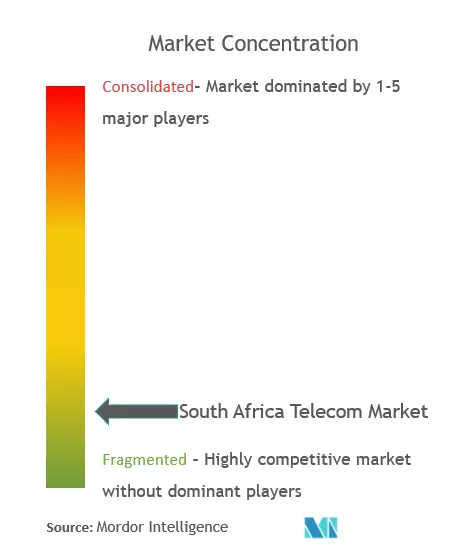 南アフリカ通信市場集中度