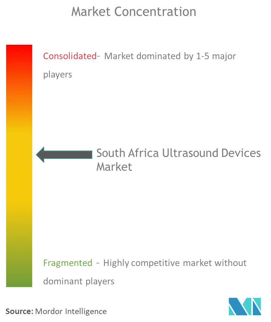 South Africa Ultrasound Devices Market Concentration
