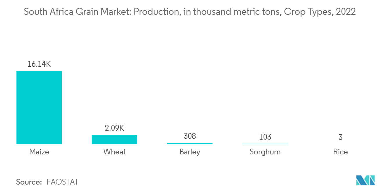  South Africa Grain Market: Production, in thousand metric tons, Crop Types, 2022