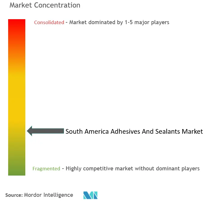 South America Adhesives and Sealants Market Concentration South America Adhesives and Sealants Market Concentration