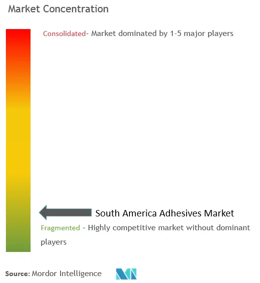 南米の接着剤市場集中度