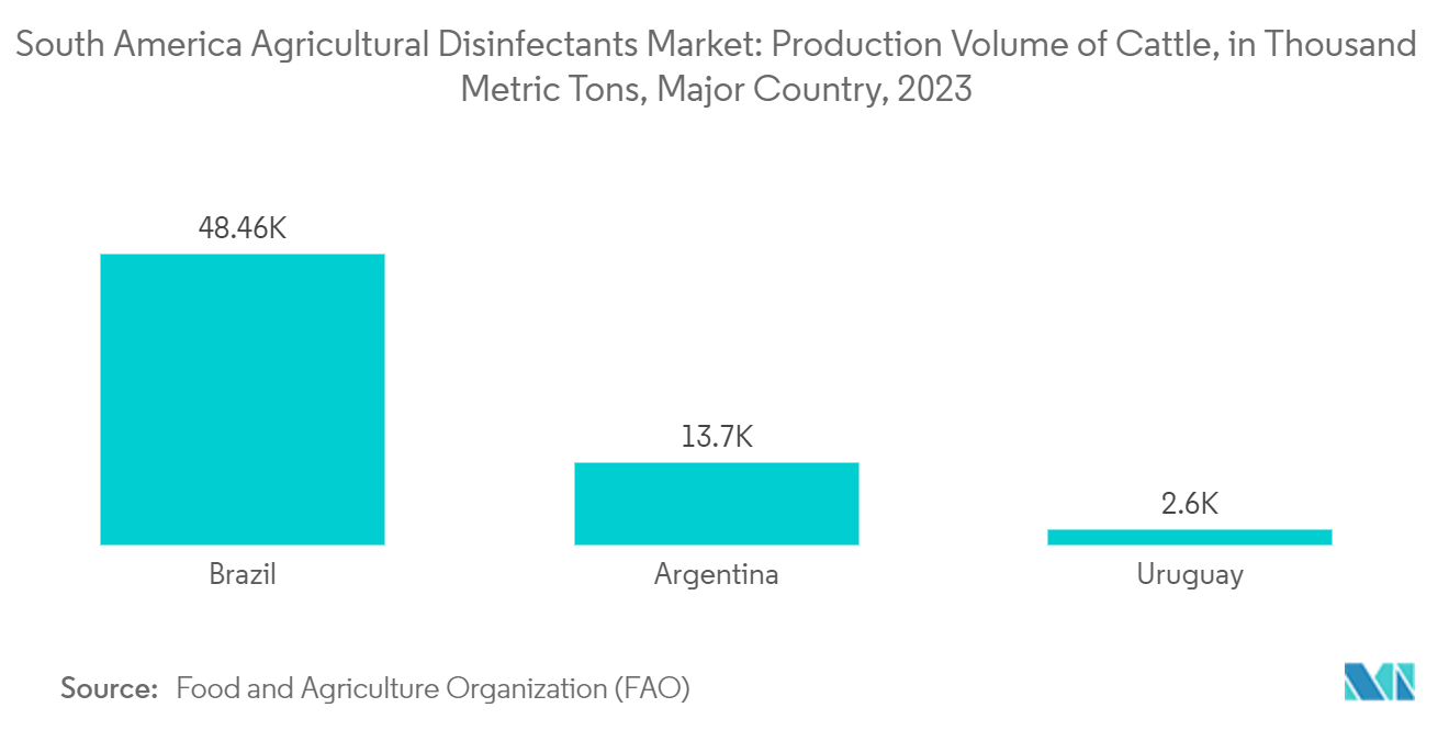 남미 농업 소독제 바카라 토토: 소 생산량(천 톤), 주요 국가, 2023