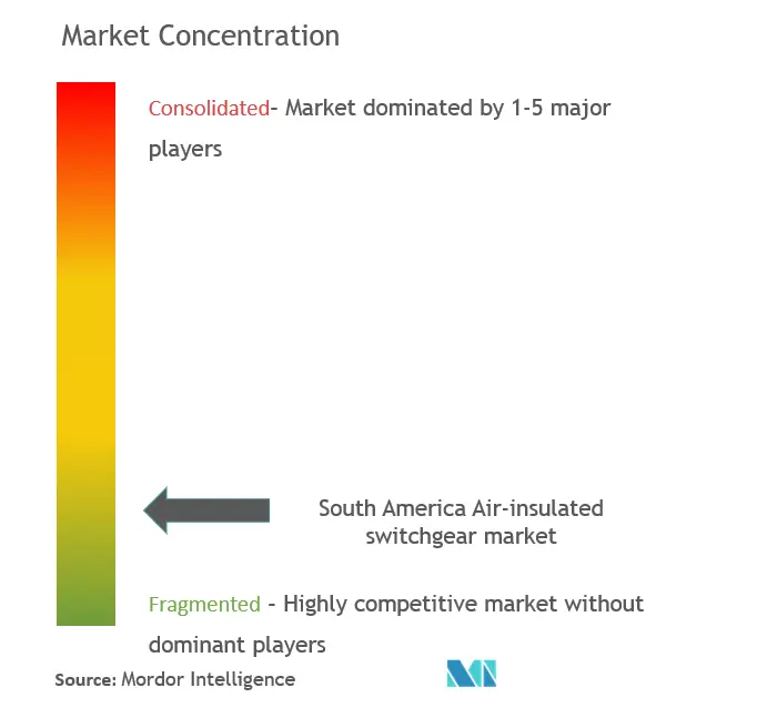 South America Air Insulated Switchgear Market  Concentration