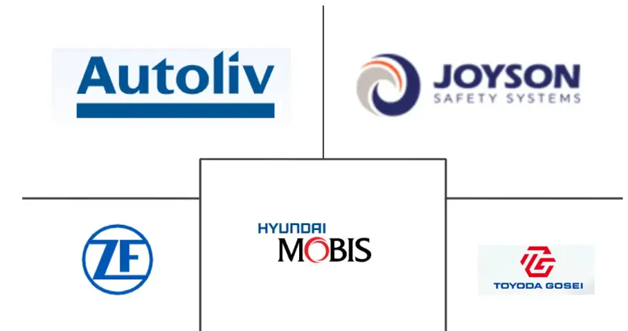Hauptakteure in Markt für Airbag-Systeme in Südamerika Branche