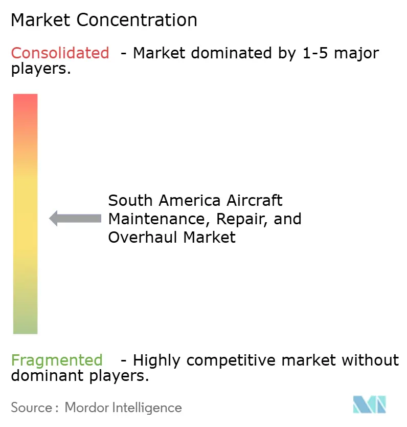 South America Aircraft Maintenance, Repair, and Overhaul Market Concentration