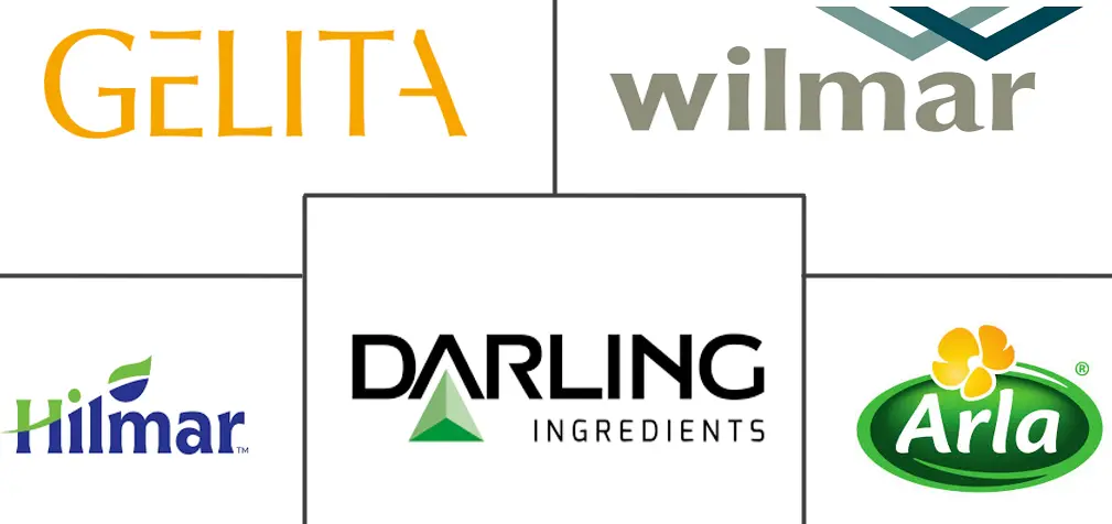 Major players in South America Animal Protein industry