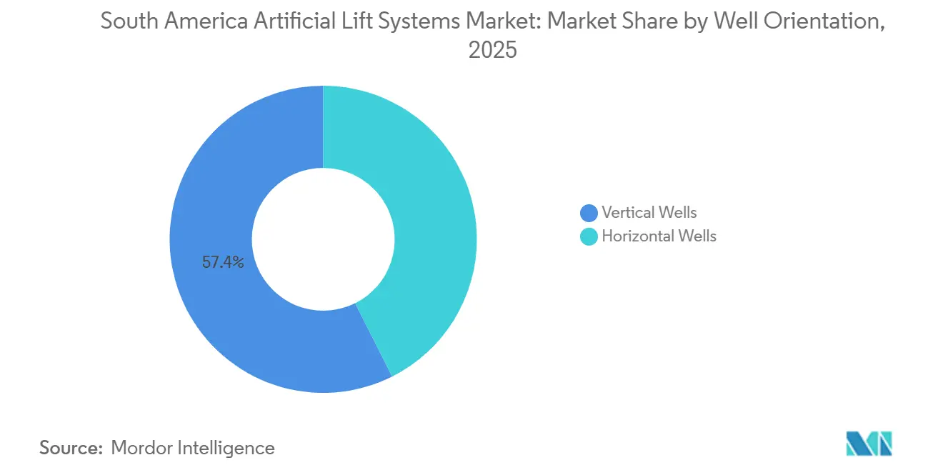 South America Artificial Lift Systems Market Share by Well Orientation, 2025
