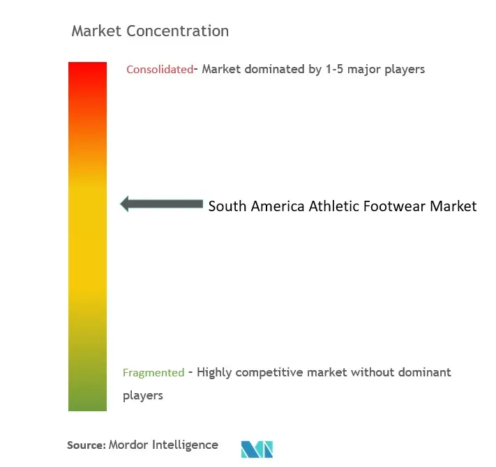 南米の運動靴市場集中度