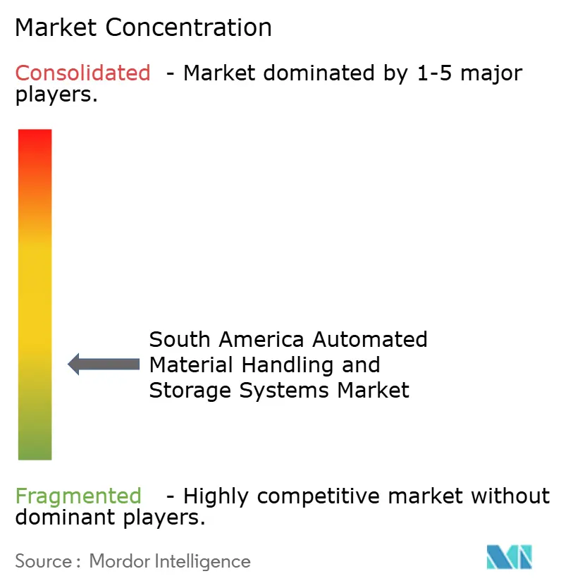 South America Automated Material Handling and Storage Systems Market Concentration