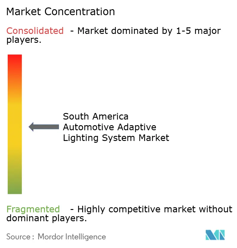 South America Automotive Adaptive Lighting System Market Concentration