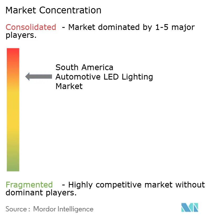 South America Automotive LED Lighting Market Concentration