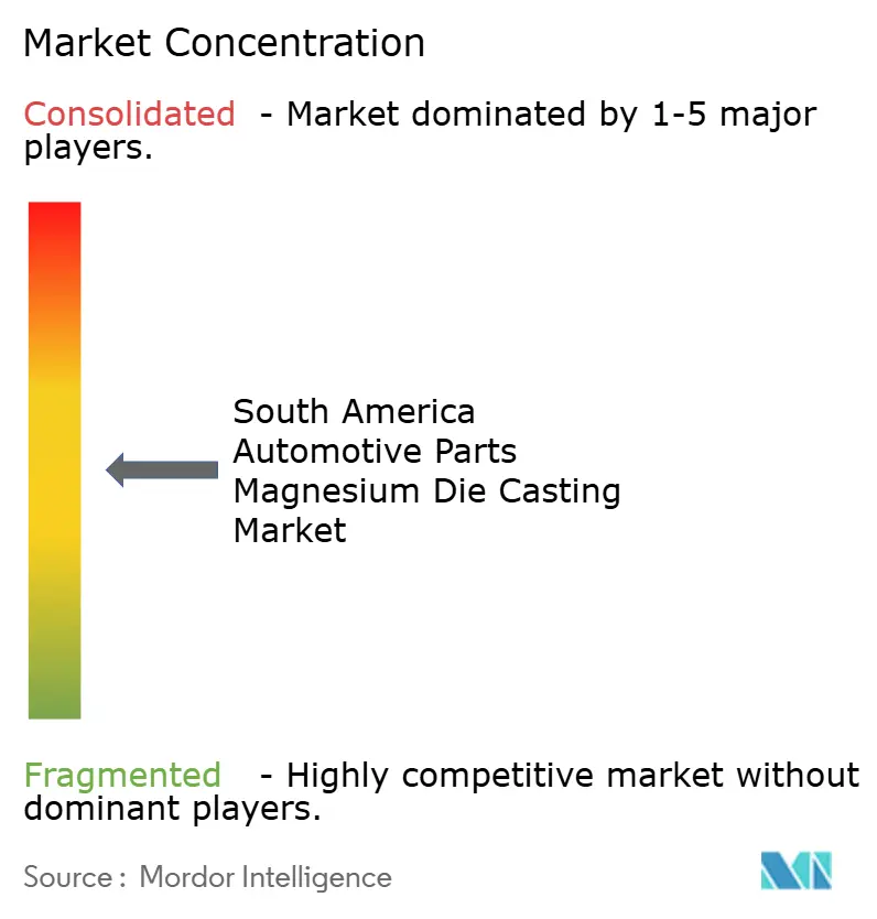 Concentración del Mercado de Fundición a Presión de Magnesio para Piezas Automotrices en América del Sur