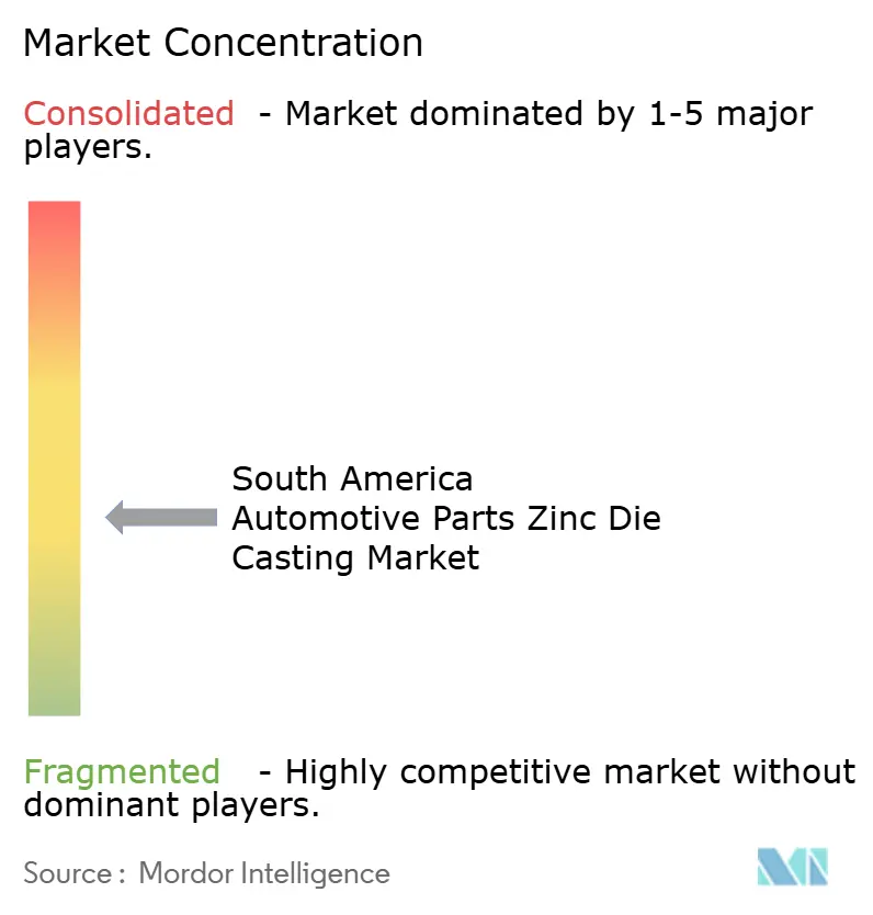 South America Automotive Parts Zinc Die Casting Market Concentration