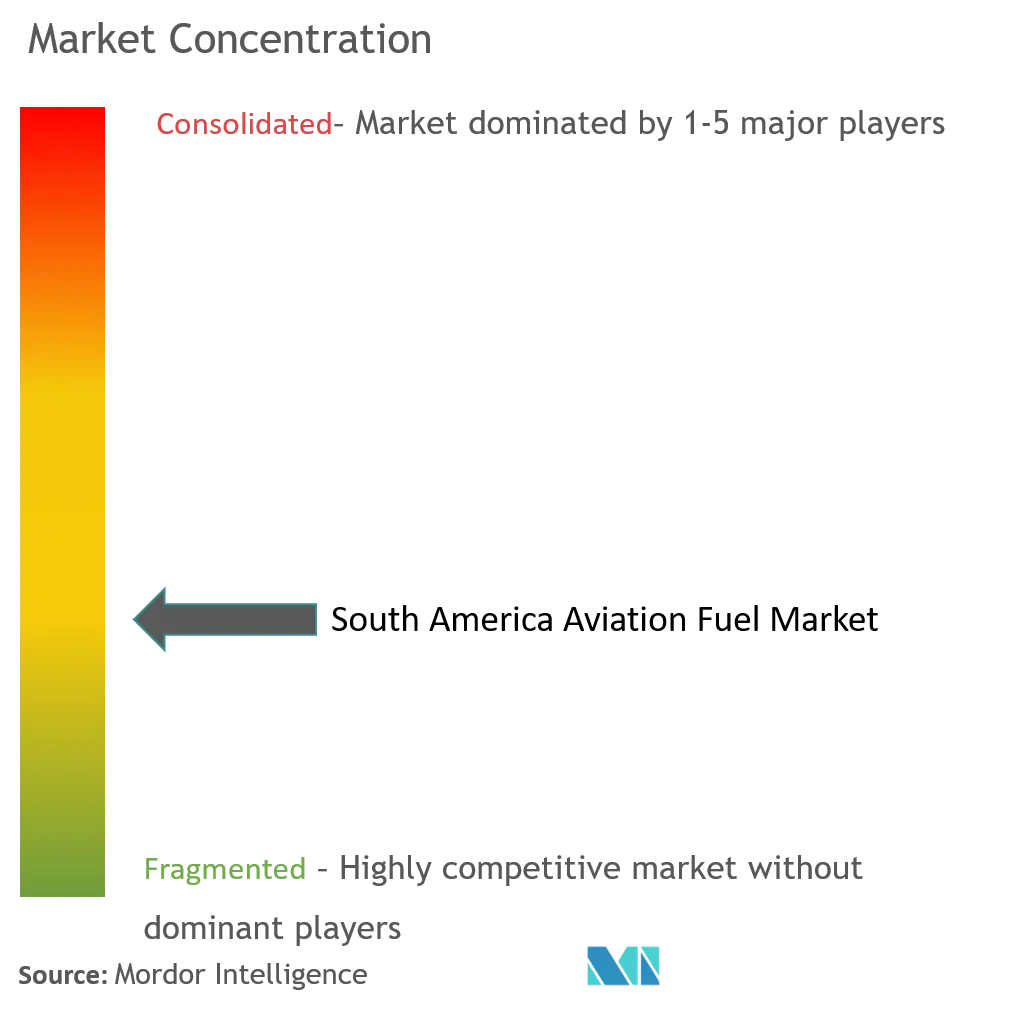 South America Aviation Fuel Market Concentration