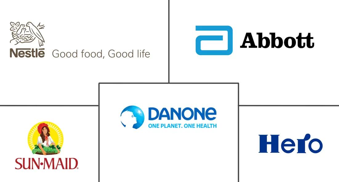 Major players in South America Baby Food industry