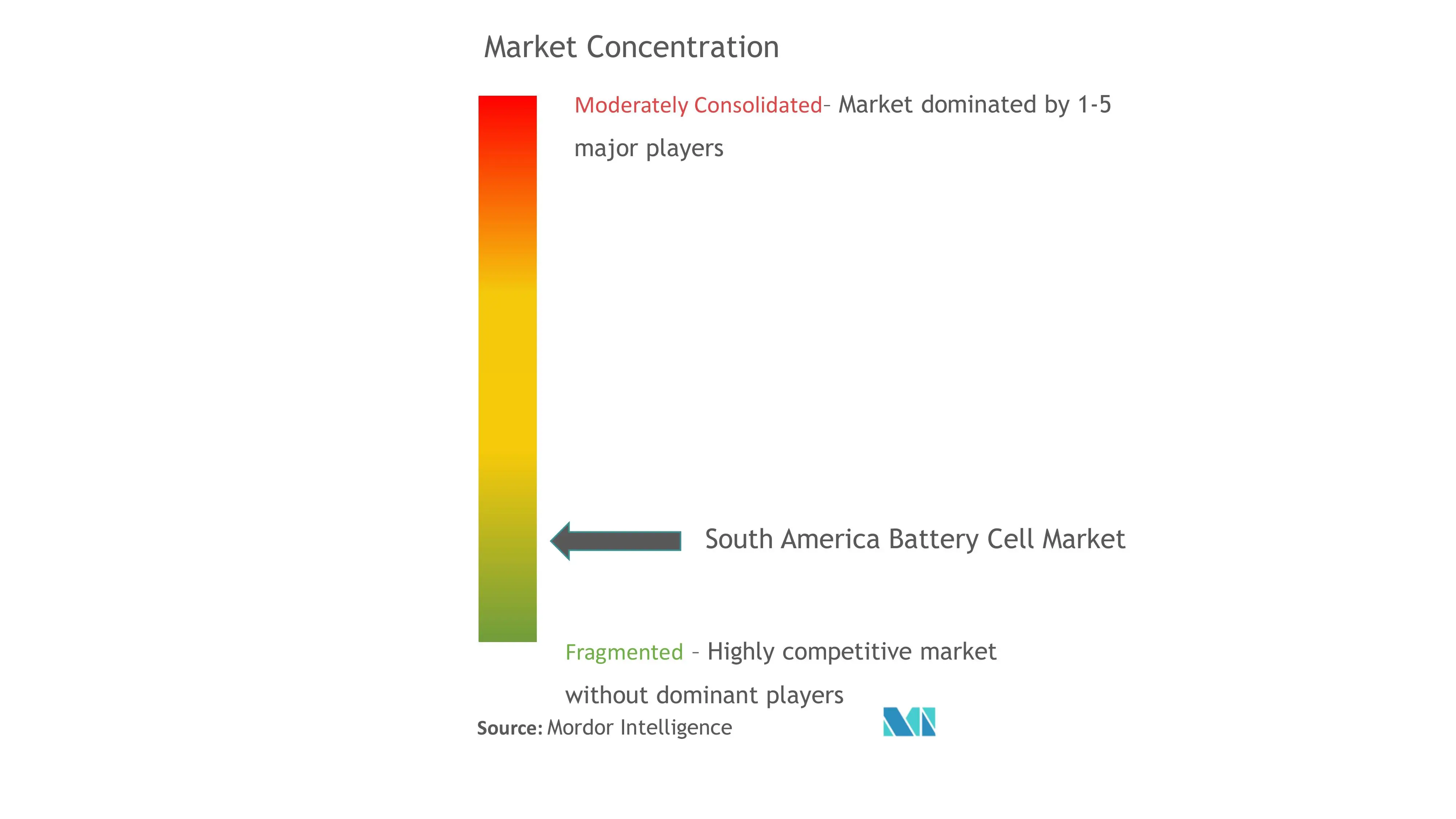 South America Battery Cell Market Concentration