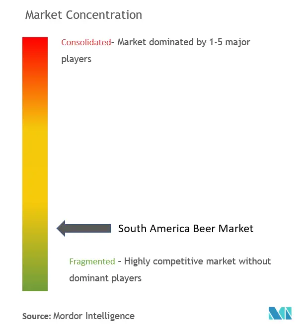 South America Beer Market Concentration