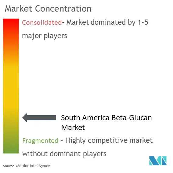 South America Beta-Glucan Market Concentration