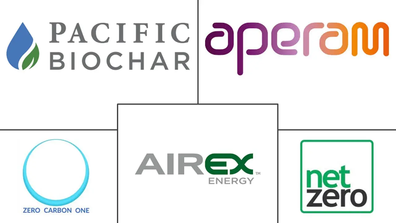 Major players in South America Biochar industry