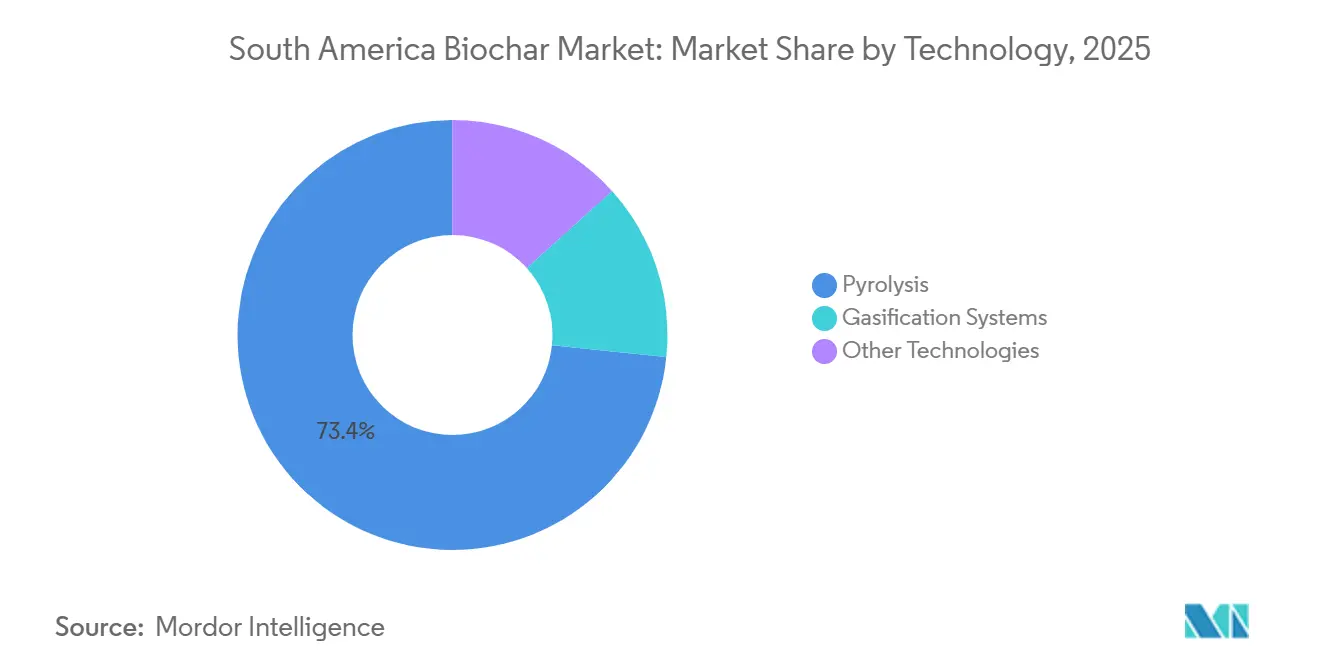 South America Biochar Market: Market Share by Technology