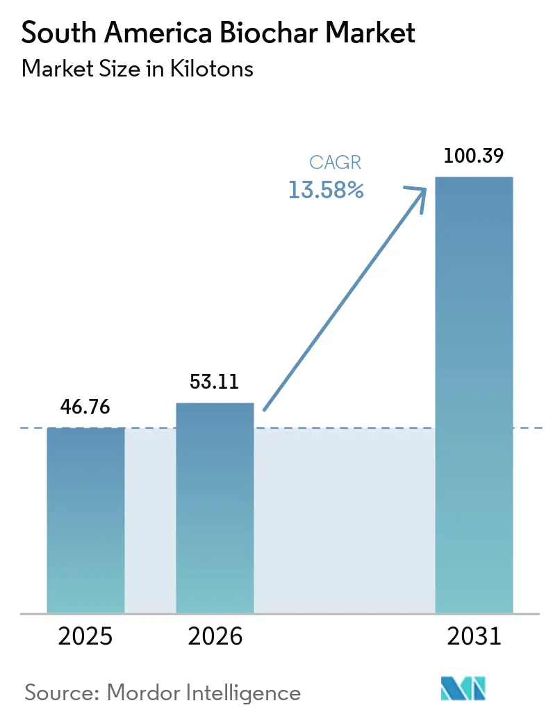 South America Biochar Market (2026 - 2031)