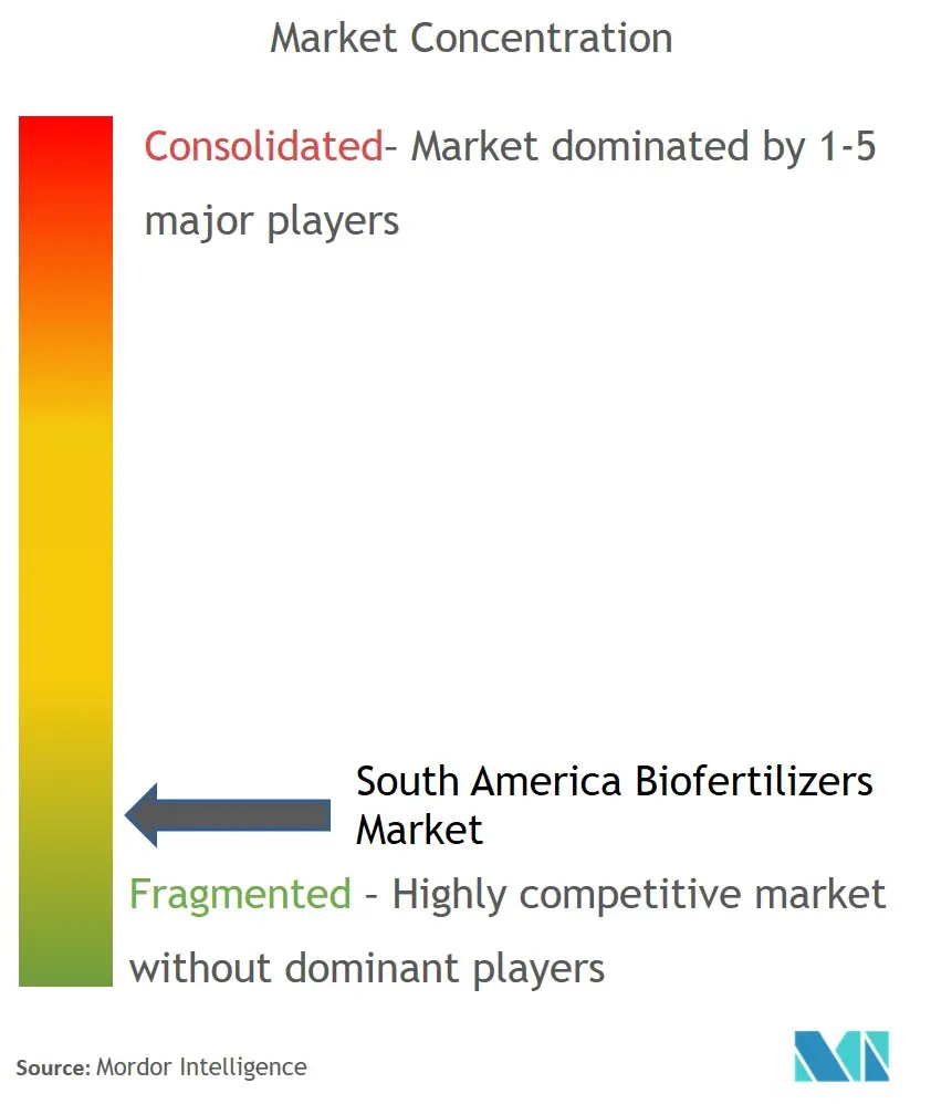 South America Biofertilizers Market Concentration