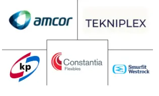 Major players in South America Blister Packaging industry