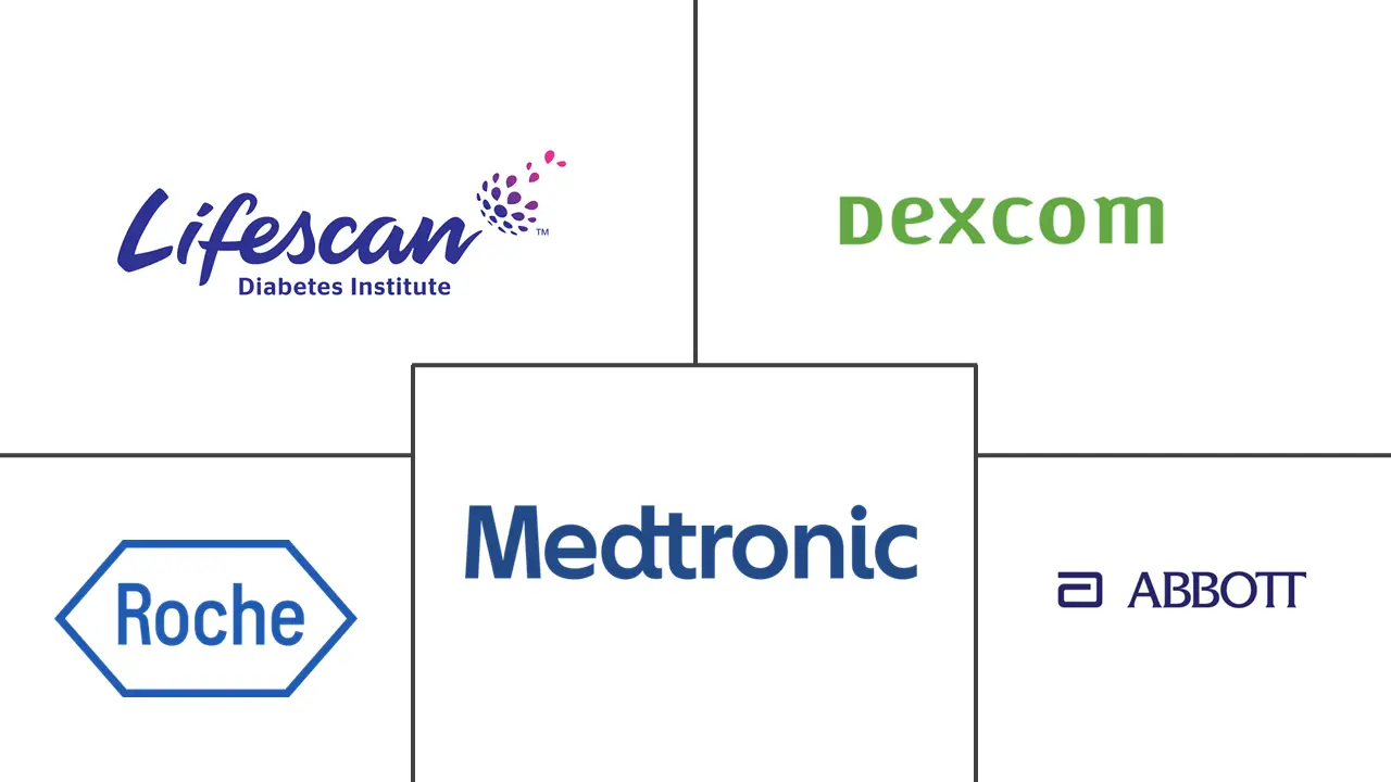 Major players in South America Blood Glucose Monitoring industry