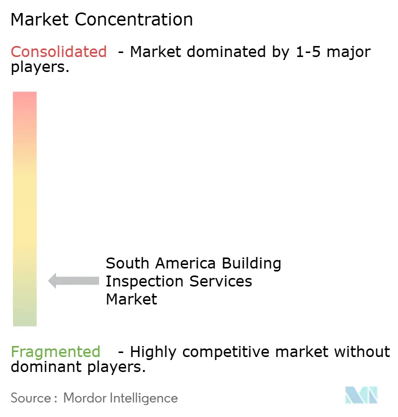 South America Building Inspection Services Market Concentration
