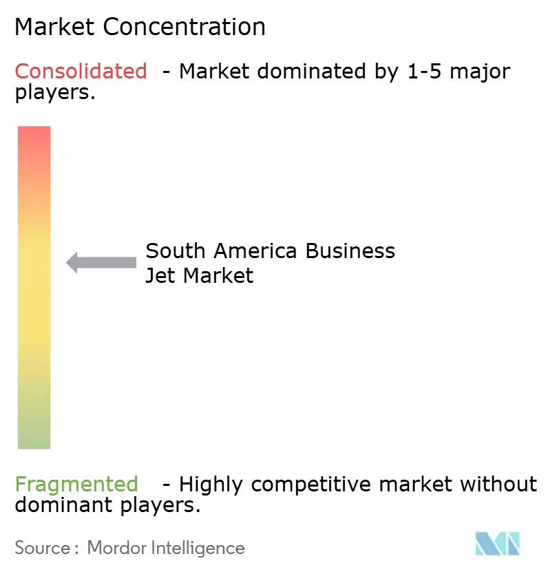 South America Business Jet Market Concentration