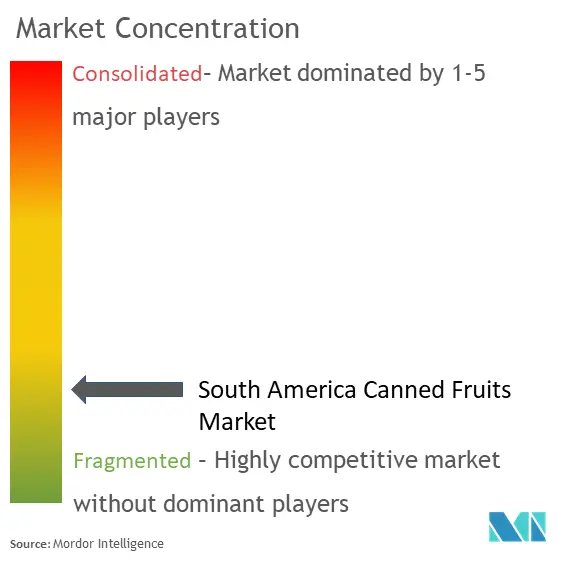 South America Canned Fruits Market Concentration