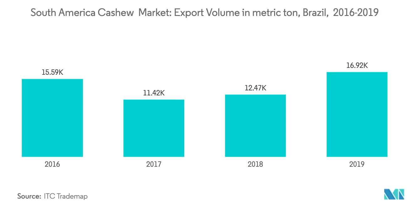 Tendencias del mercado de anacardos en América del Sur