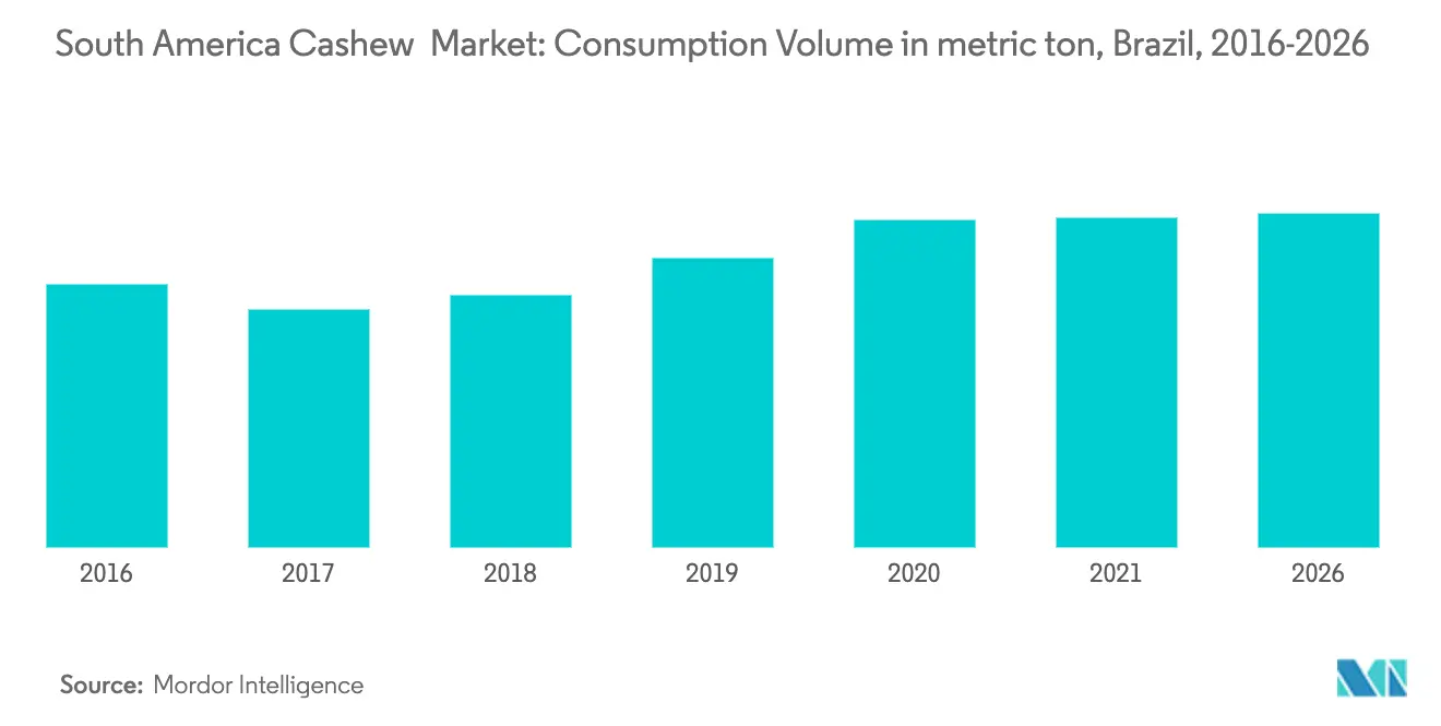 South America Cashew Market Growth