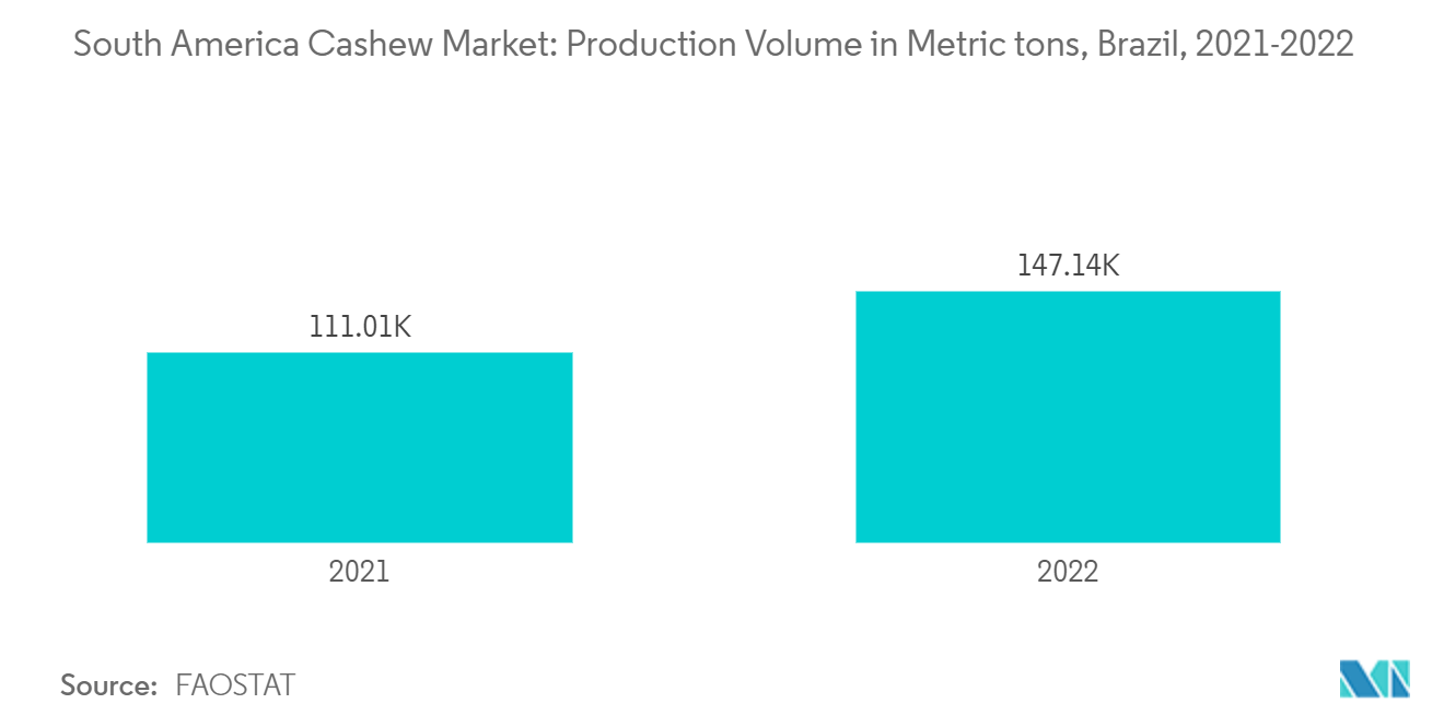 South America Cashew Market: Production Volume in Metric tons, Brazil, 2021-2022