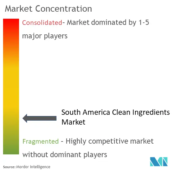 South America Clean Ingredients Market Concentration