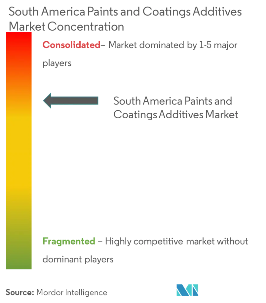 South America Paints and Coatings Additives Market Concentration