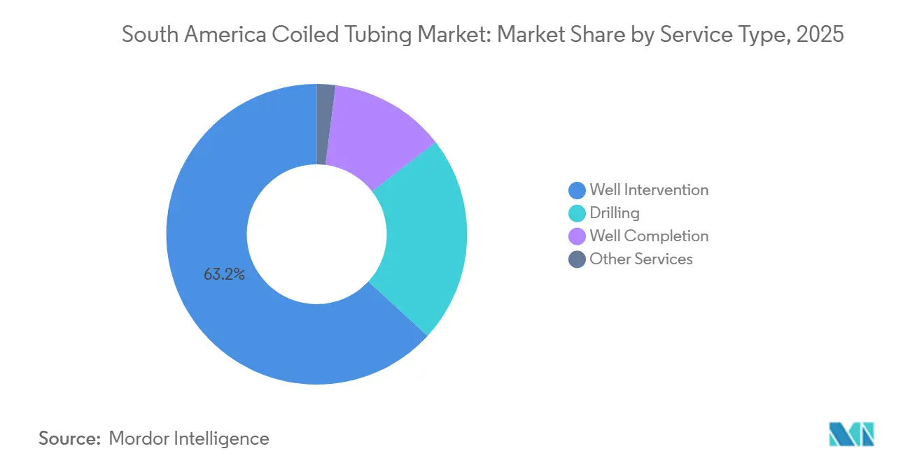 South America Coiled Tubing Market Share by Service Type, 2025