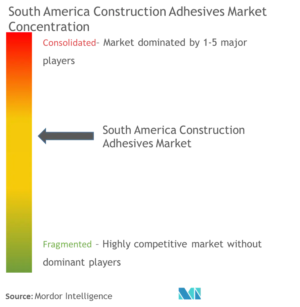 South America Construction Adhesives Market- Market Concentration.png