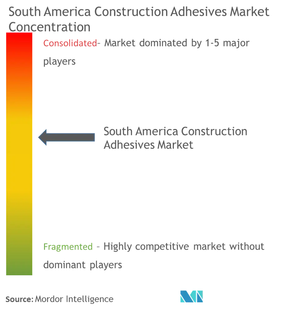 Adhesivos para la construcción en América del SurConcentración del Mercado