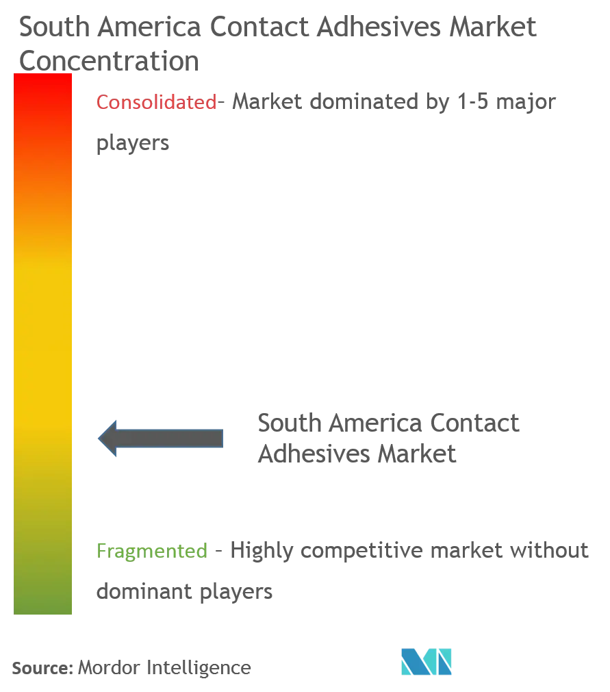 South America Contact Adhesives Market - Market Concentration.png