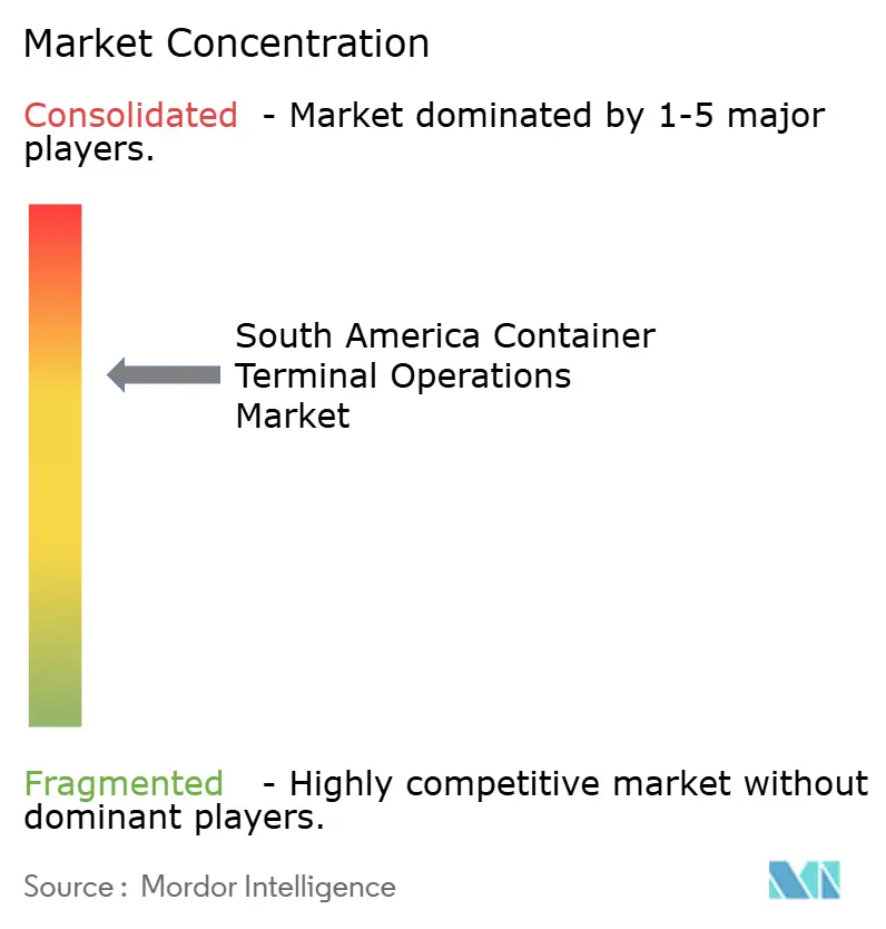 South America Container Terminal Operations Market Concentration