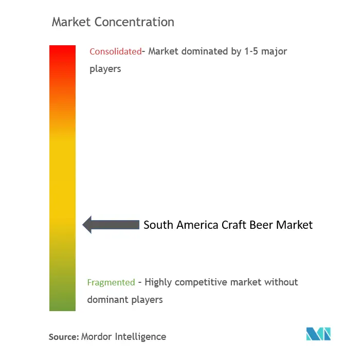 South America Craft Beer Market Concentration
