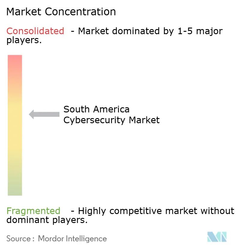 South America Cybersecurity Market Concentration