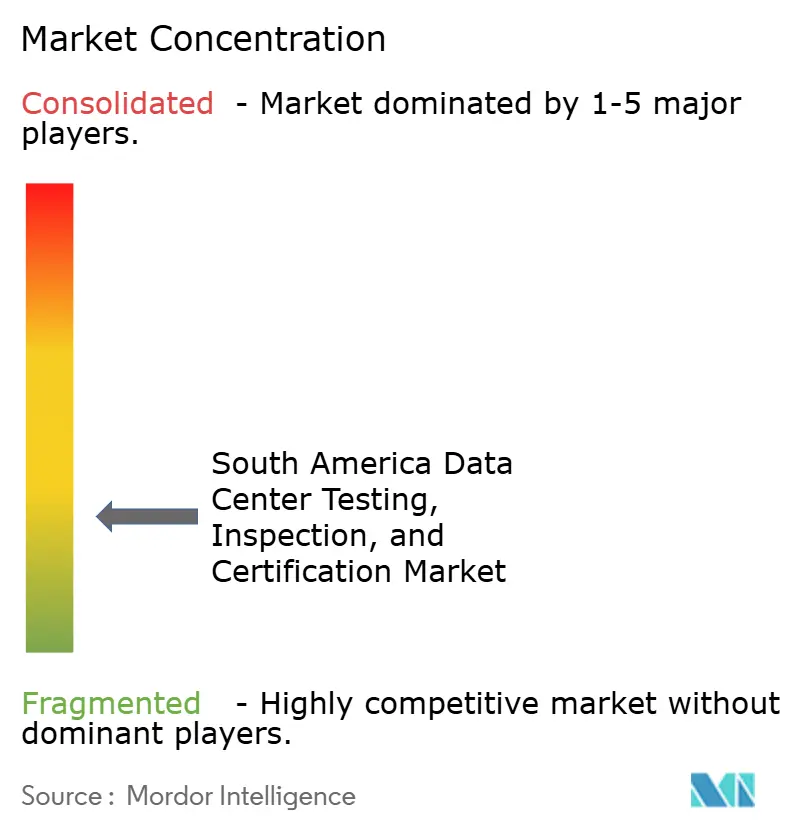 South America Data Center Testing, Inspection, and Certification Market Concentration