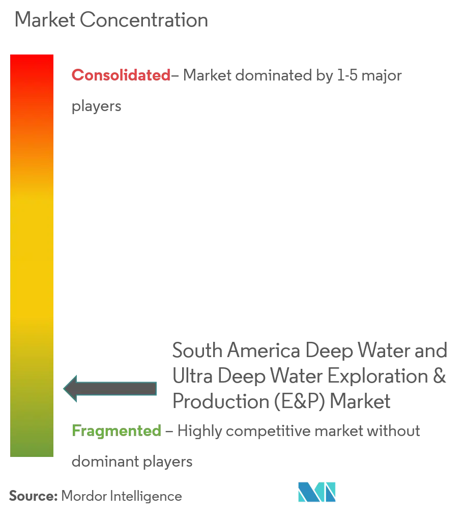 South America Deep Water and Ultra Deep Water Exploration & Production (E&P) Market Concentration
