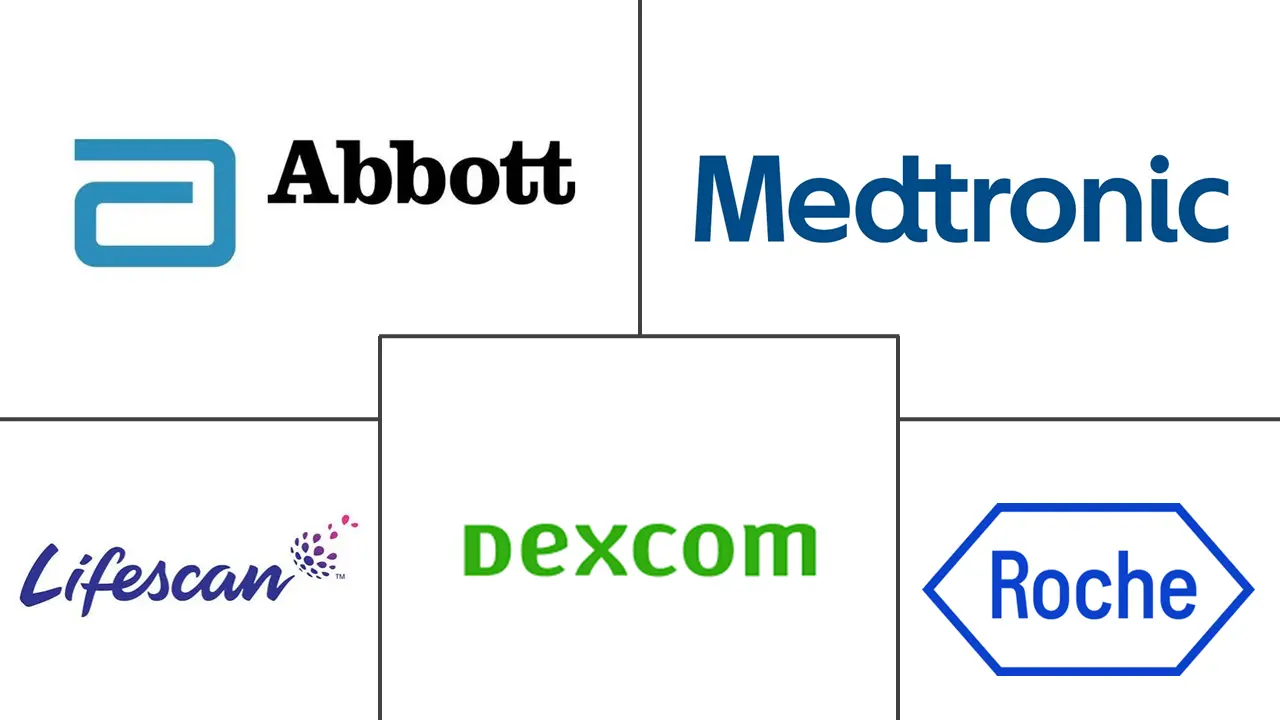 Major players in South America Diabetes Care Devices industry